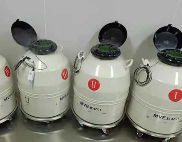 液氮罐 液氮罐